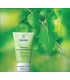 Exfoliante corporal de abedul