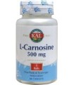 L-CARNOSINE 500 MG - 30 COMPRIMIDOS