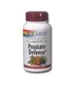 PROSTATE DEFENSE - 90 CAP.