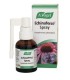 Echinacea  (Echinaforce)  spray 30 ml