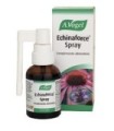 Echinacea  (Echinaforce)  spray 30 ml