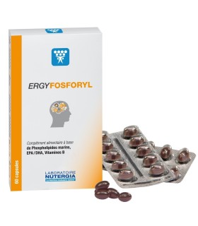 ERGYFOSFORYL  60 capsulas