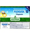 FISIOSOL 13 MAGNESIO 20 VIALES / 2 ML