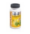 Garcinia cambogia  500 mg Premium 60 capsulas