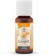 Jengibre extracto  en gotas bio 20 ml