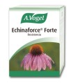 Echinaforce Forte - antigripal 30 comprimidos