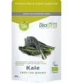 Kale col rizada 120 g polvo