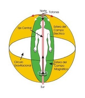 Kinesiobiologia biomagnética