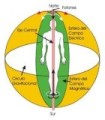 Kinesiobiologia biomagnética