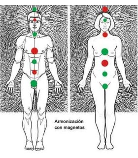 Par Biomagnético- 2500 gaus