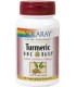 Turmeric - Curcuma 600 mg - 30 cápsulas vegetales