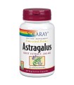 Astragalus Root Extract 200 Mg- 30 capsulas Vegetales