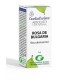 Aceite Esencial (absoluto) de Rosa de bulgaria 2 ml.