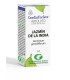 Aceite esencial ABSOLUTO DE JAZMÍN DE LA INDIA  2 ml