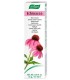 Crema Echinacea Hidratación diaria 35 g