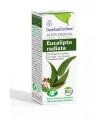 Aceite de Eucalipto radiata 10ML