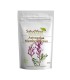 Astragalus Membranaceus en Polvo ECO 250 gr