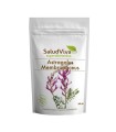 Astragalus Membranaceus en Polvo ECO 250 gr