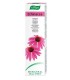 DENTAFORCE ECHINACEA pasta dental gr 100	