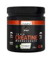 Creatina 300 g Sport Live polvo