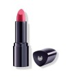 Barra de Labios 05 fuchsia 4 g