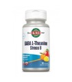 Stress B Gaba L-Teanina - 100 comprimidos masticables