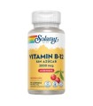 Vitamina B-12 2000 Mcg - Sin Azúcar - 90 masticable  Sin Gluten  Apto Para Veganos 