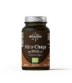 Mico-Chaga Extracto Puro ECO de Chaga 70 caps