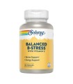 NUTRITIONALLY BALANCED B-STRESS - 100 cap.