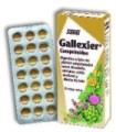 Gallexier 84 comp.