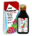 Protecor 250 ml