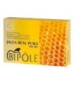 Bipole Jalea Forte 2000 20 Ampollas