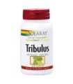 Tribulus  60 cápsulas