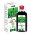 Llantén - Jugo ecológico de planta fresca 200 ml