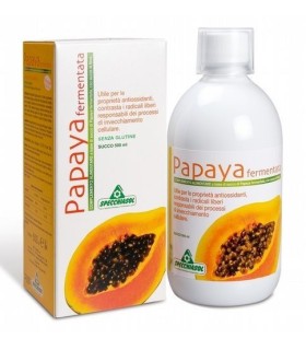 Papaya Fermentada 500 ml.