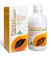 Papaya Fermentada 500 ml.