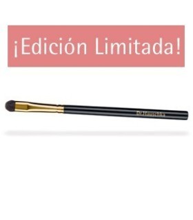 Pincel Eye Definer 1 und EDICION LIMITADA