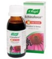 Echinaforce Hot Drink   100 ml        