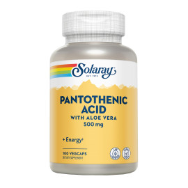 ACIDO PANTOTENICO 500 MG 100 CAPSULAS