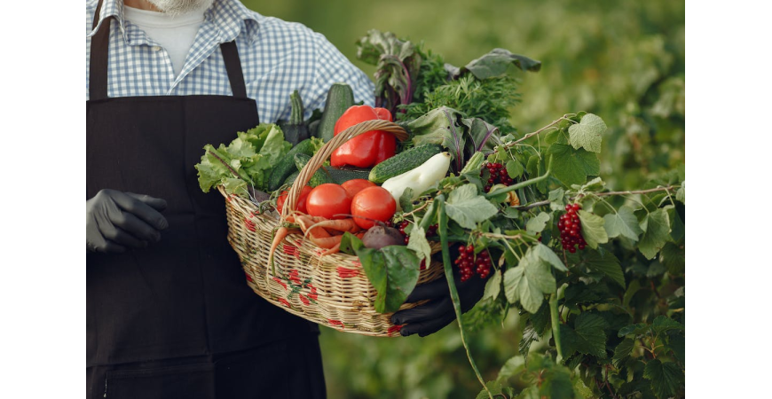 Alimentos ecológicos ¿Por qué añadirlos a la dieta?